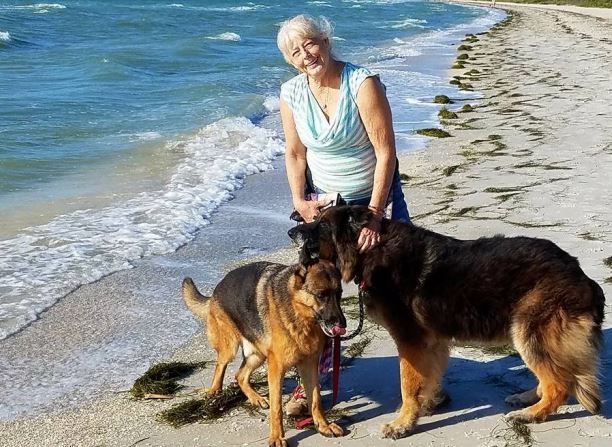 Healy Pack Senior GSD Sanctuary founder Linda Healy with her dogs by the ocean