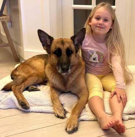 Image of a happily rescued, fostered, or adopted Healy Pack German shepherd