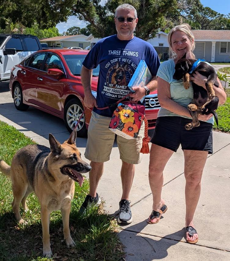 Image of a happily rescued, fostered, or adopted Healy Pack German shepherd