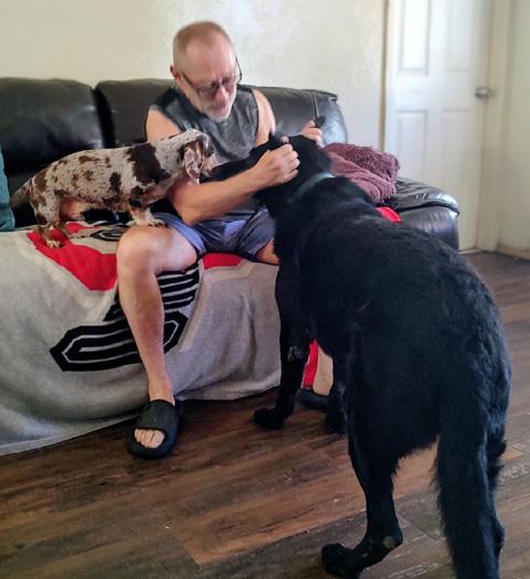 Image of a happily rescued, fostered, or adopted Healy Pack German shepherd