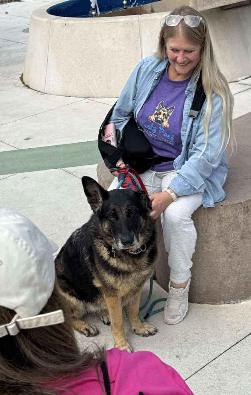 Image of a happily rescued, fostered, or adopted Healy Pack German shepherd